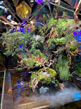 NARA KINGYO MUSEUMに投稿された画像（2023/9/3）