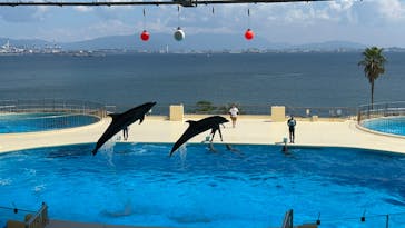 マリンワールド海の中道に投稿された画像（2023/9/3）