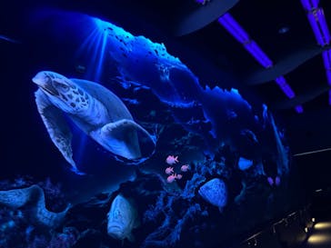 マリンワールド海の中道に投稿された画像（2023/9/3）