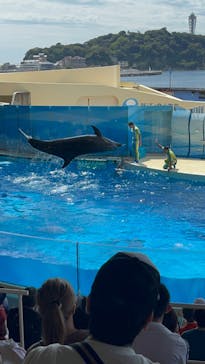 新江ノ島水族館に投稿された画像（2023/9/3）