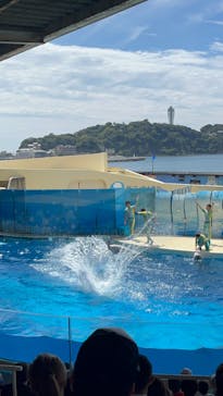 新江ノ島水族館に投稿された画像（2023/9/3）