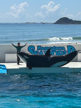 鴨川シーワールドに投稿された画像（2023/9/2）