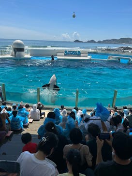 鴨川シーワールドに投稿された画像（2023/9/2）