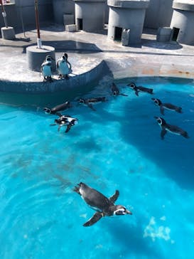 南知多ビーチランド＆南知多おもちゃ王国に投稿された画像（2023/9/3）