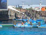 名古屋港水族館に投稿された画像（2023/9/3）