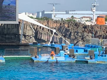 名古屋港水族館に投稿された画像（2023/9/3）