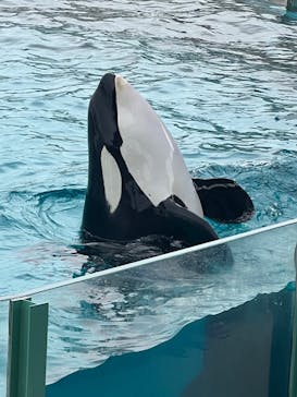 鴨川シーワールドに投稿された画像（2023/9/3）