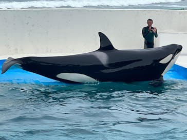 鴨川シーワールドに投稿された画像（2023/9/3）
