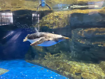 マクセル アクアパーク品川に投稿された画像（2023/9/3）