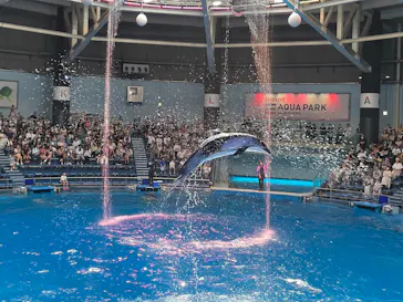 マクセル アクアパーク品川に投稿された画像（2023/9/3）