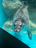 アクアワールド茨城県大洗水族館に投稿された画像（2023/9/3）