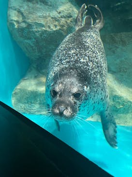 アクアワールド茨城県大洗水族館に投稿された画像（2023/9/3）