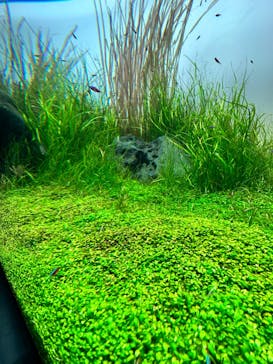 AOAO SAPPOROに投稿された画像（2023/9/3）