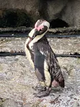 サンシャイン水族館に投稿された画像（2023/9/3）