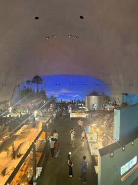 福井県立恐竜博物館に投稿された画像（2023/9/3）