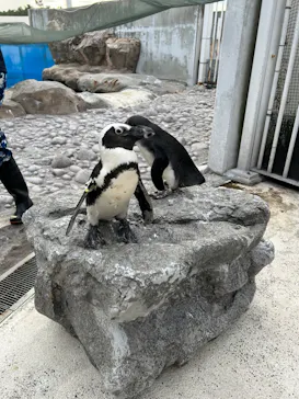 横浜・八景島シーパラダイスに投稿された画像（2023/9/3）
