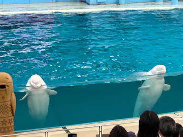 横浜・八景島シーパラダイスに投稿された画像（2023/9/3）