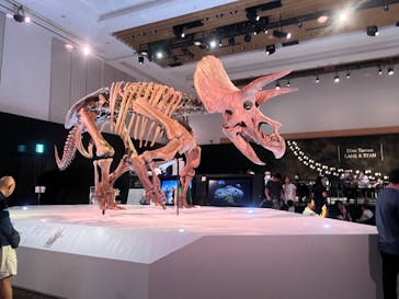 DinoScience 恐竜科学博 2023@TOKYO MIDTOWNに投稿された画像（2023/9/3）