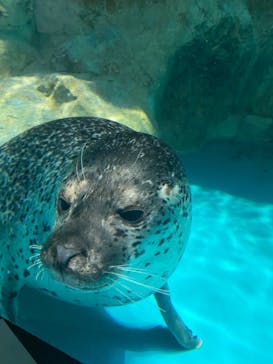 アクアワールド茨城県大洗水族館に投稿された画像（2023/9/3）