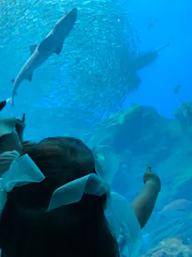 仙台うみの杜水族館に投稿された画像（2023/9/3）
