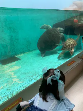 仙台うみの杜水族館に投稿された画像（2023/9/3）