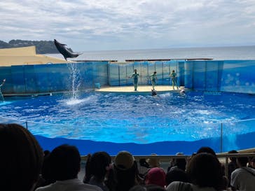 新江ノ島水族館に投稿された画像（2023/9/3）