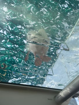 サンシャイン水族館に投稿された画像（2023/9/3）