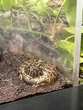 サンシャイン水族館に投稿された画像（2023/9/3）