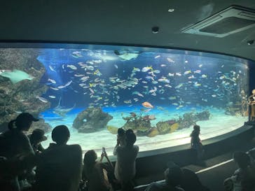 サンシャイン水族館に投稿された画像（2023/9/3）