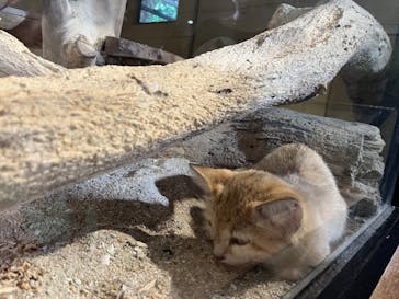 ネオパークオキナワに投稿された画像（2023/9/3）