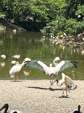 ネオパークオキナワに投稿された画像（2023/9/3）