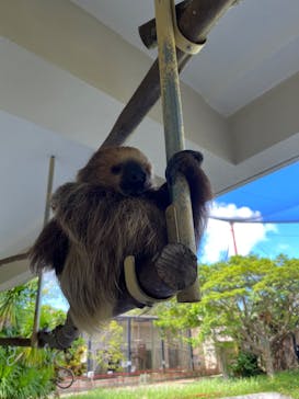 ネオパークオキナワに投稿された画像（2023/9/3）