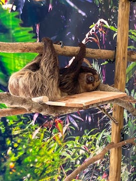 ネオパークオキナワに投稿された画像（2023/9/3）