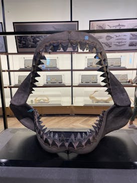 アクアワールド茨城県大洗水族館に投稿された画像（2023/9/3）