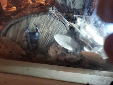 環境水族館アクアマリンふくしまに投稿された画像（2023/9/3）