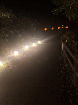 ニジゲンノモリに投稿された画像（2023/9/3）