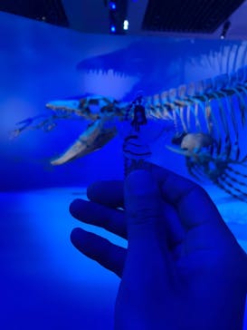 DinoScience 恐竜科学博 2023@TOKYO MIDTOWNに投稿された画像（2023/9/3）