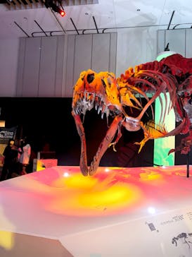 DinoScience 恐竜科学博 2023@TOKYO MIDTOWNに投稿された画像（2023/9/3）