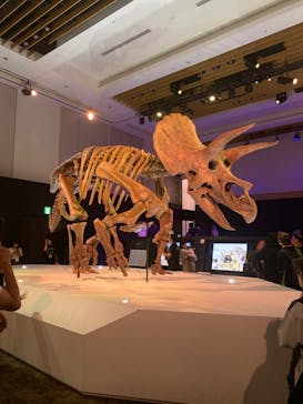 DinoScience 恐竜科学博 2023@TOKYO MIDTOWNに投稿された画像（2023/9/3）