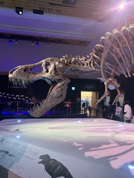 DinoScience 恐竜科学博 2023@TOKYO MIDTOWNに投稿された画像（2023/9/3）