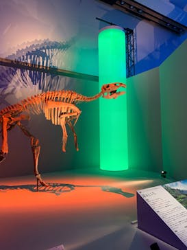 DinoScience 恐竜科学博 2023@TOKYO MIDTOWNに投稿された画像（2023/9/3）
