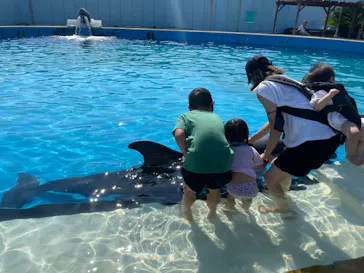 天王寺動物園に投稿された画像（2023/9/3）