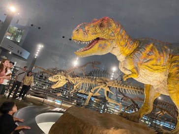 福井県立恐竜博物館に投稿された画像（2023/9/3）