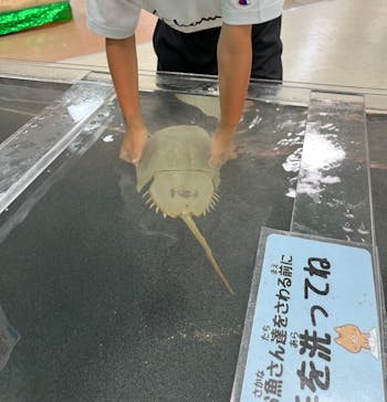 いきもの探検隊上尾に投稿された画像（2023/9/3）