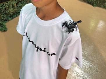 いきもの探検隊上尾に投稿された画像（2023/9/3）