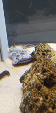 AOAO SAPPOROに投稿された画像（2023/9/3）