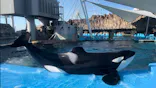 名古屋港水族館に投稿された画像（2023/9/3）
