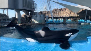 名古屋港水族館に投稿された画像（2023/9/3）