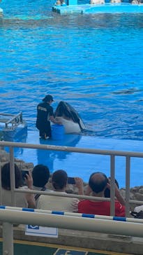 名古屋港水族館に投稿された画像（2023/9/3）