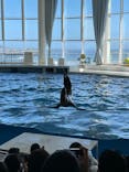 アクアワールド茨城県大洗水族館に投稿された画像（2023/9/3）
